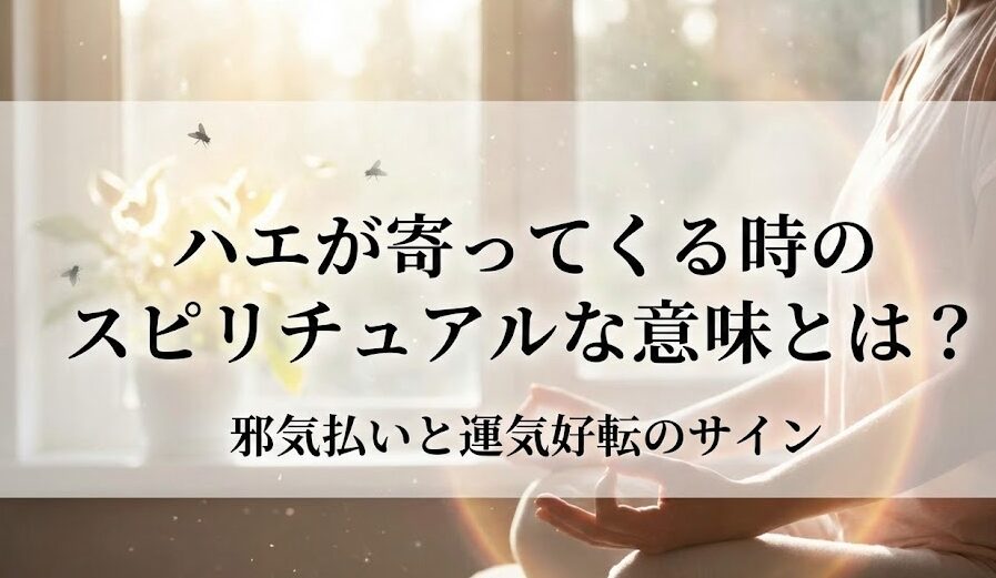 ハエが寄ってくるスピリチュアルな意味