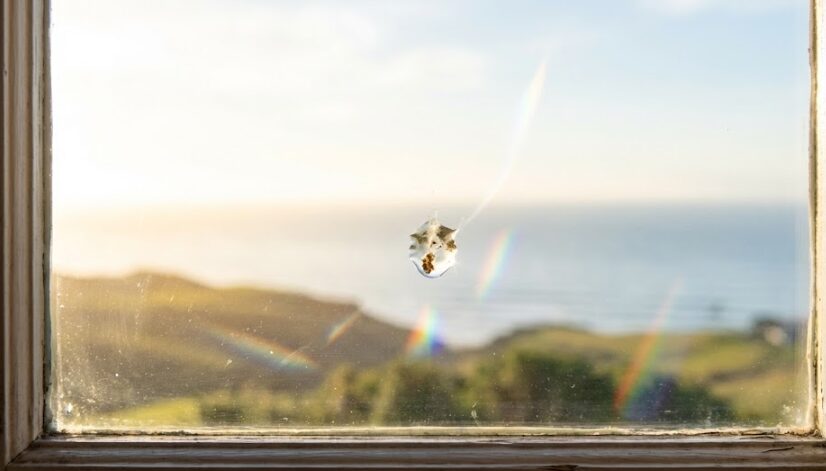 窓ガラスに鳥のフンのスピリチュアルな意味